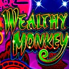 Wealthy Monkey
